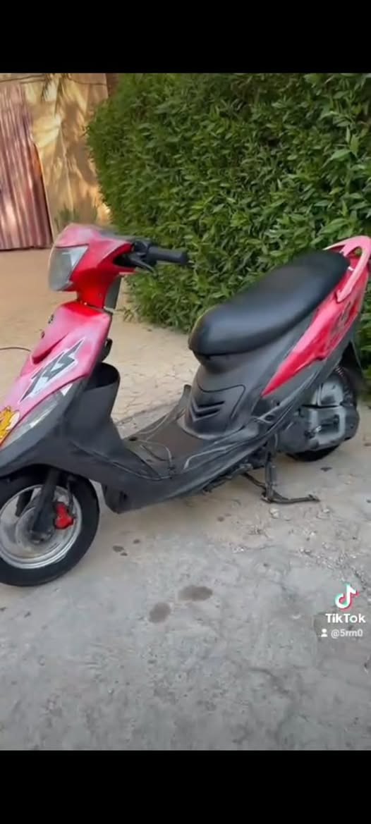 ماكس • مجال • تيك توك