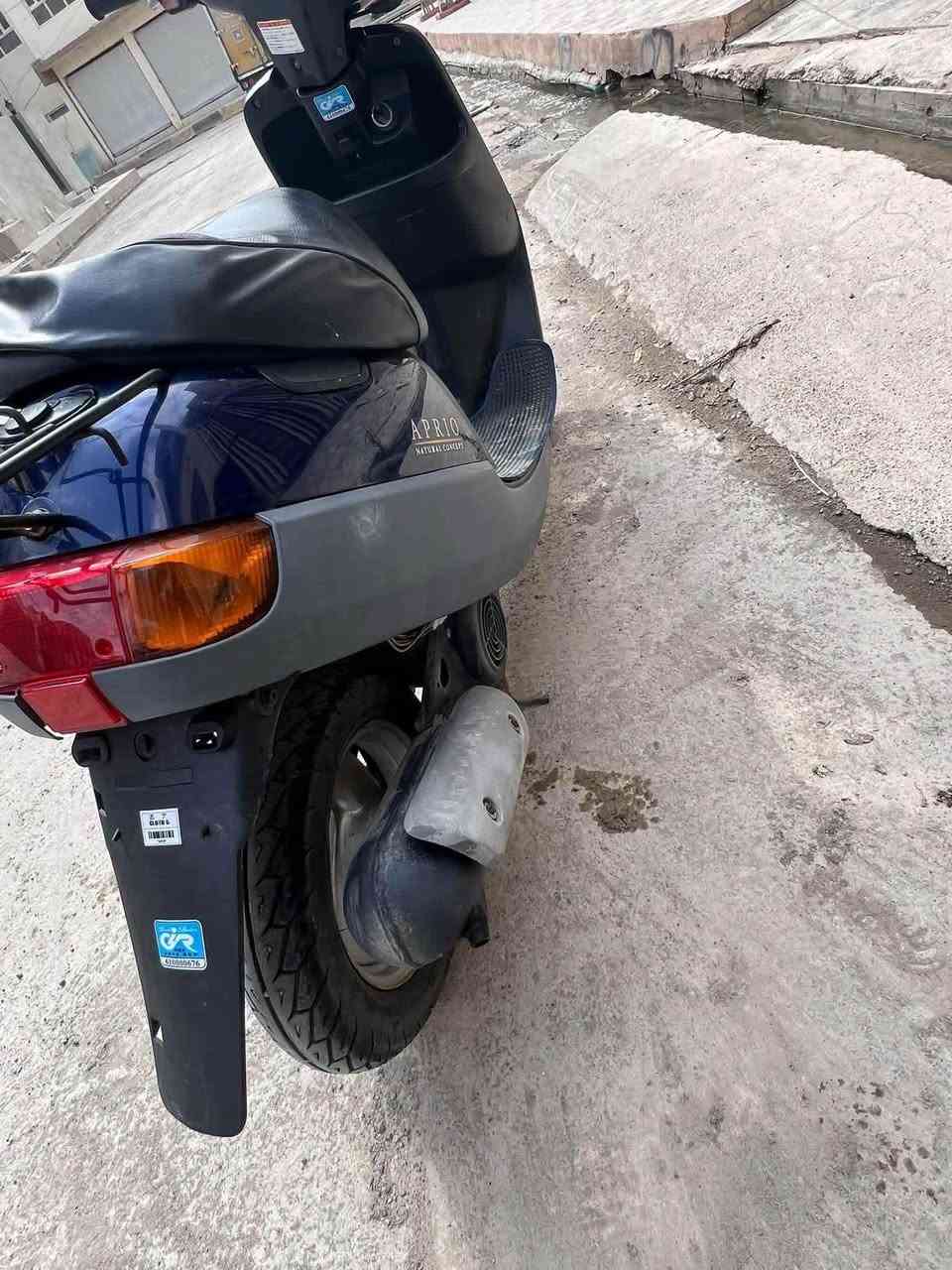 بوتين • سلف • واتساب