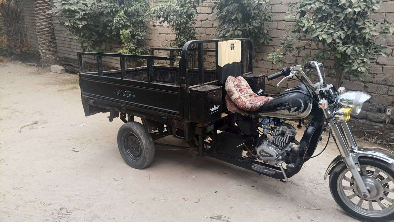 سكنر • ٢٠٢١ • اربع اوراق