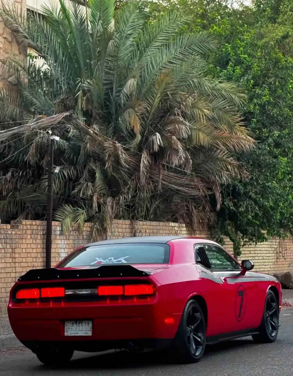 جالنجر • ٢٠١٠ • رقم بغداد