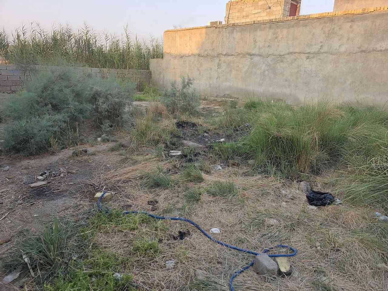 السلام عليكم قطعة بتلو ابستان سيد كريم بنهاية شارع الماي الارو ٢٠٠ متر ***********
