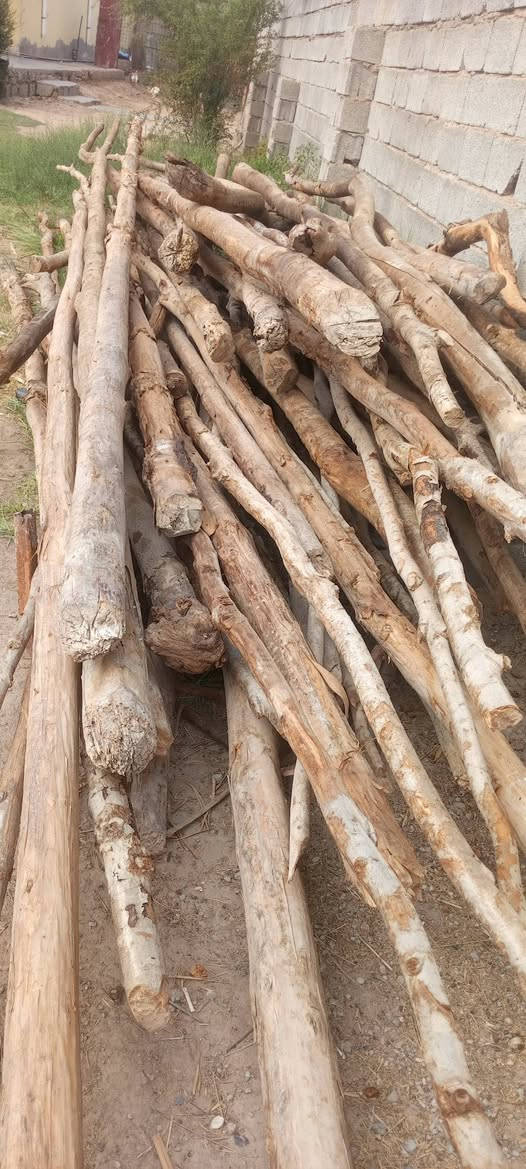 خشب لبيع طول لخشبه من اربعه متر وفوك خشب نضيف كلش***********

