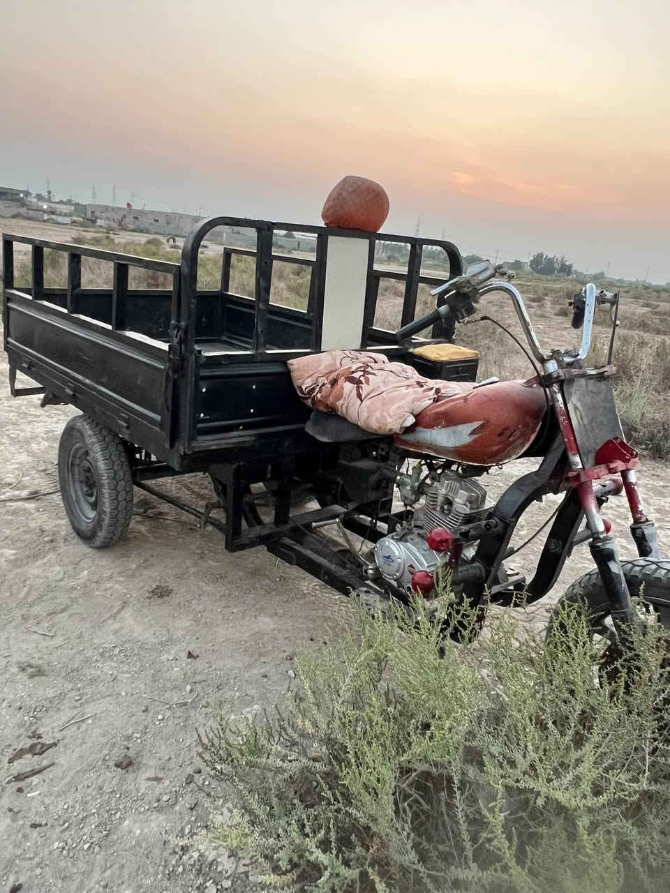 ستوته • مكفوله • ٢٠٢٤
