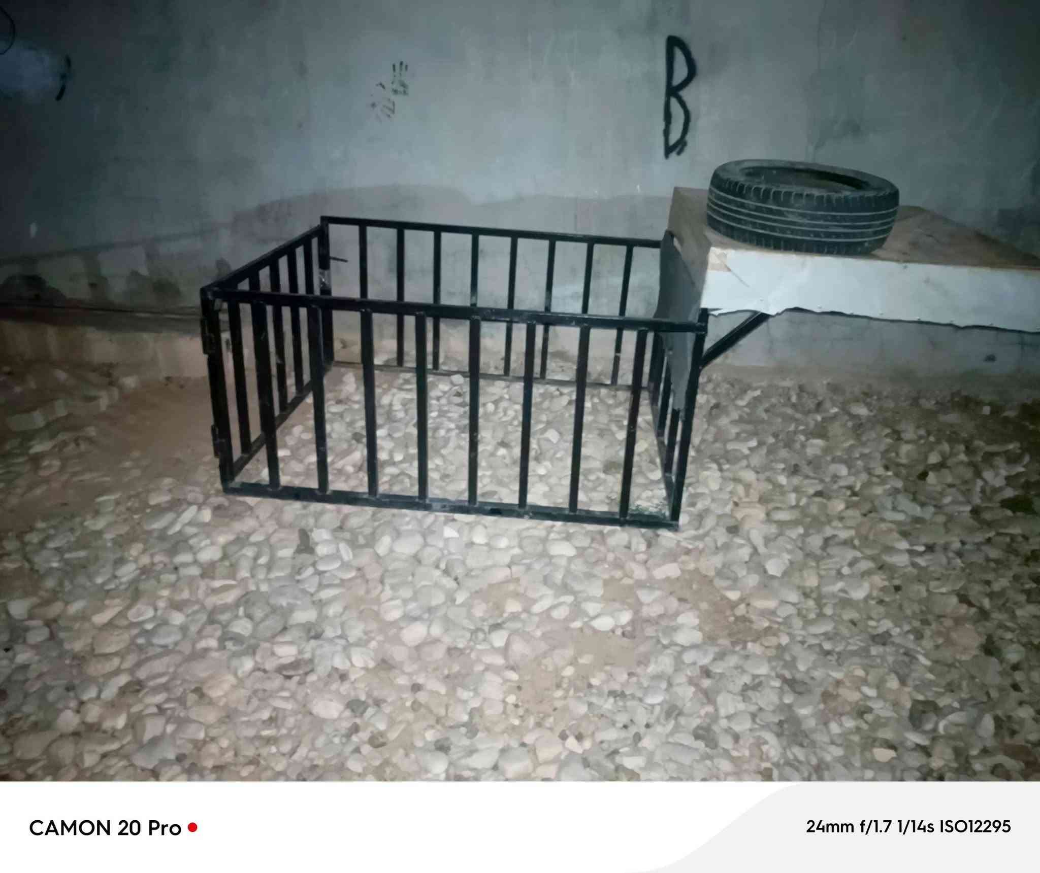 ***********
