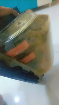 لايت كونا • ٢٠٢٥ أمريكي • اصلي يمين
