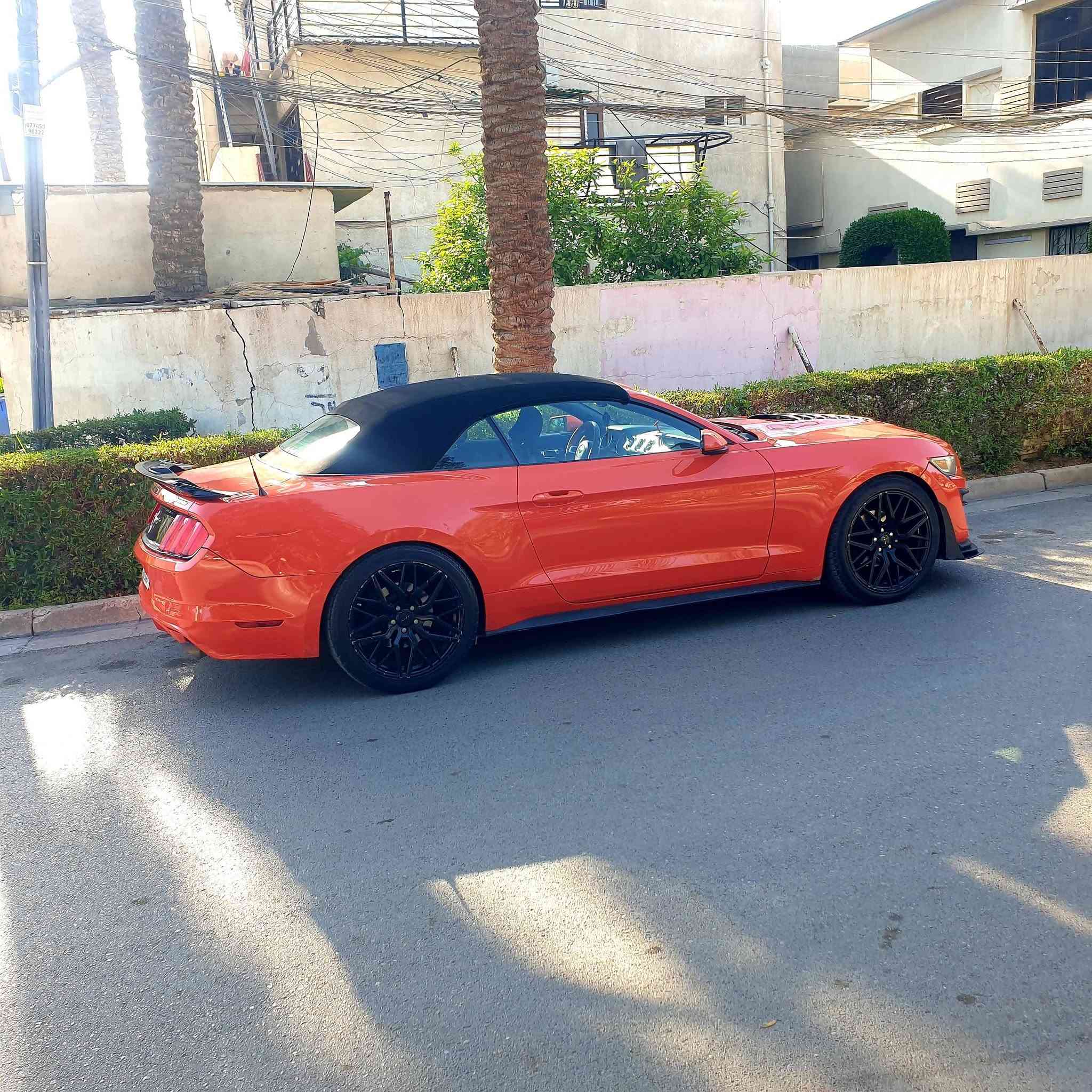 مراوس ب جالنجر لون اسود ٨ سلندر
(وانطي فرق )

موستنك لون برتقالي كشف خليجي ١٥.......V6
***********
بغداد حي الجامعه
