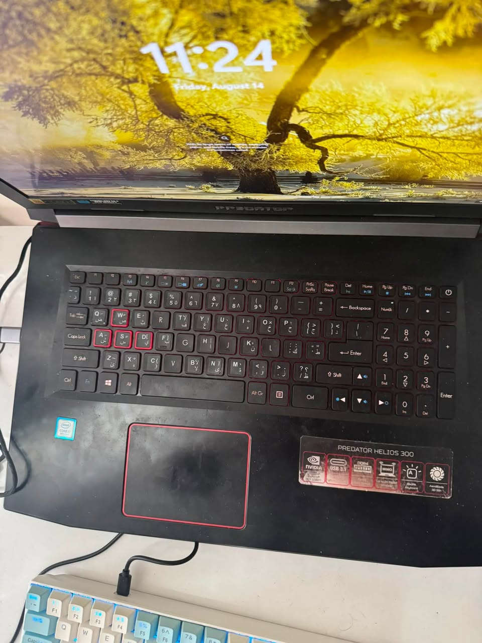 بسعر 300,000 الف
مواصفات
Gtx 1050ti
Ram:24gb
I7:8750
Ssd:256gb
Hard:1tb 

بيه مشكله مدخل usb+aux ميشتغلن الجانبيه بيه قطع بالكونكتر بس مدخل واحد وحاطلهم ادبتر

ولكن الجهاز يشتغل طبيعي والعاب ايضا عنواني بغداد حي الجهاد
***********

