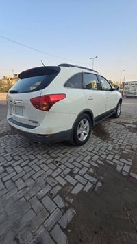 فير كروز خليجي • ٢٠٠٩ • ٧ راكب