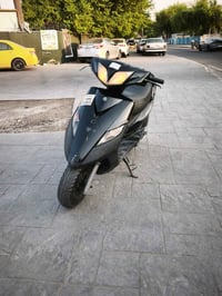 ثعلب • كفاله • اوراق