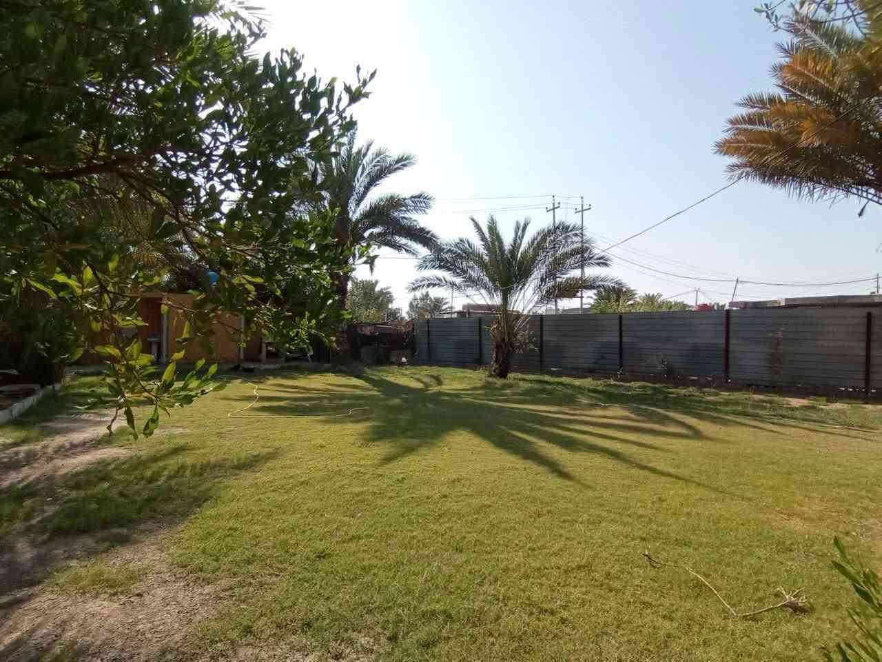 🌿 فرصة مميزة للبيع في المحمودية – حي الجزائر 🏡
قطعة أرض زراعية بمساحة 1150 م²، موقع مميز خلف سكة القطار، وتضم دار بمساحة بناء 200 م²، مع حديقة واسعة جدًا تمنح المكان خصوصية ومساحة رائعة للعائلة.
🏠 مواصفات الدار: • 3 غرف نوم
• هول واستقبال
• مطبخ وصالة
• حمام وطرمة
• حديقة كبيرة وواسعة جدًا 🌳
✨ فرصة مناسبة للسكن والاستثمار، ومكان واسع لمن يبحث عن الهدوء والمساحة.
📞 للاستفسار: *********** ***********
📩 أو يمكنكم مراسلة الصفحة للمزيد من التفاصيل.
