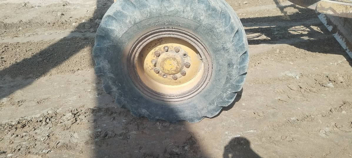 تخم ويل • ٢٤ • ٢٥