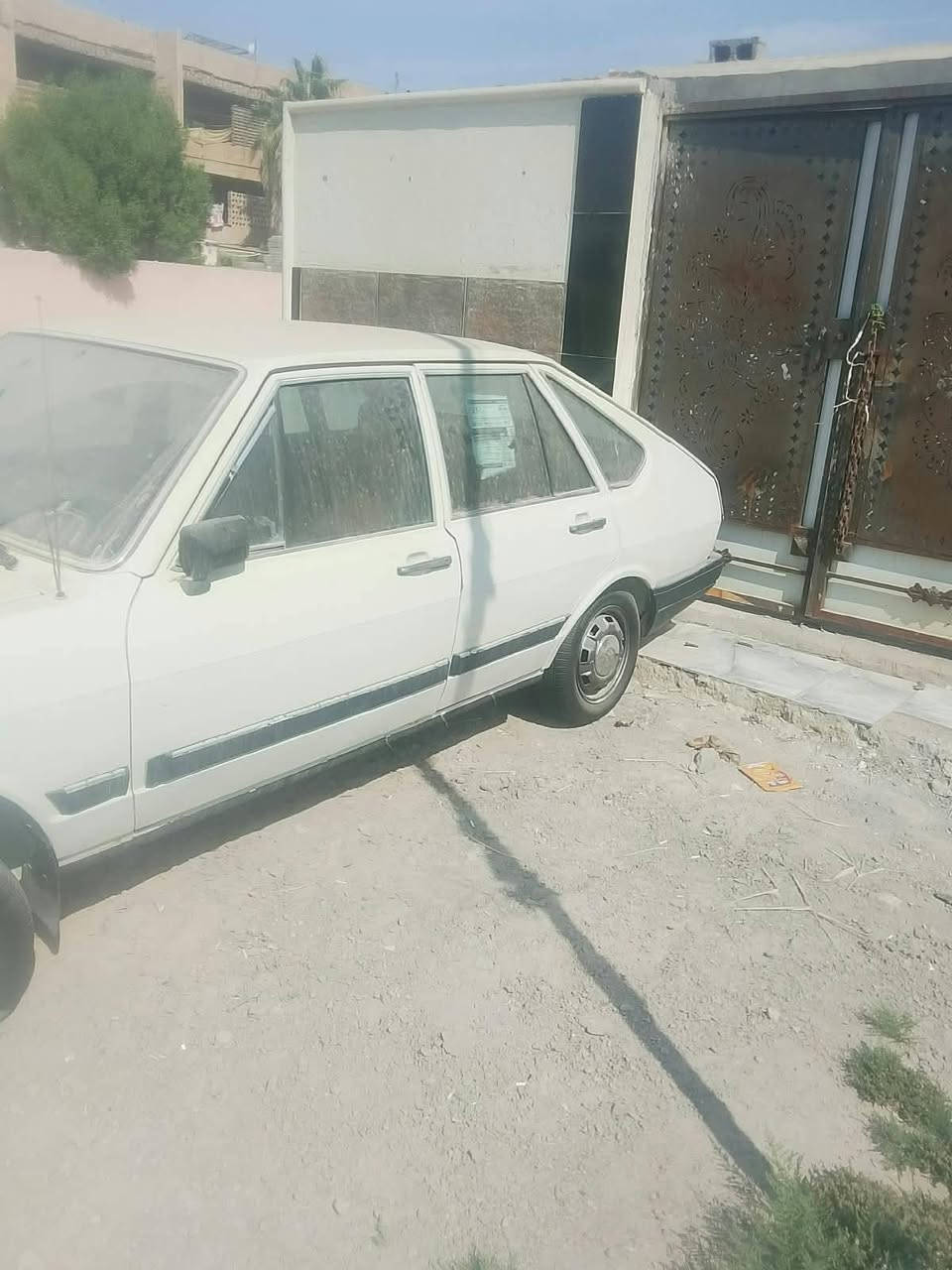 برازيلي • شغال • وكالة