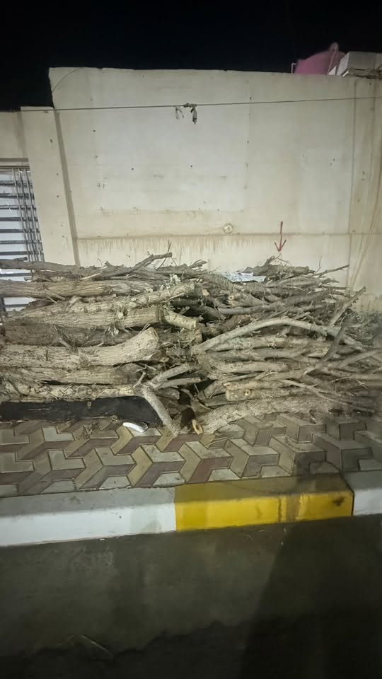 حطب 🪵 صفصاف نبك للبيع حمل كيه الاتصال ***********

