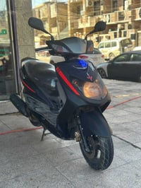 سكنس فحل • موديل١٢ • اوراق
