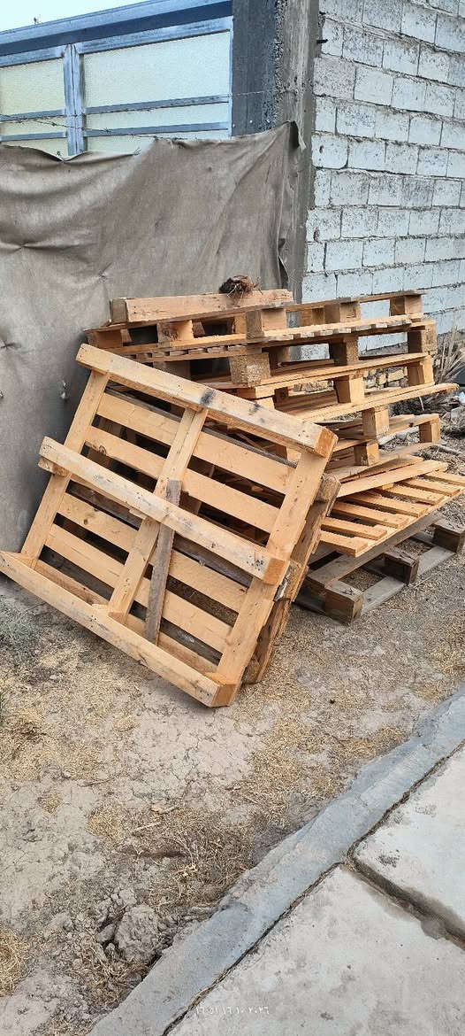 سكيبات • مراسلة واتساب • ١٦-١٠-٢٠٢٦