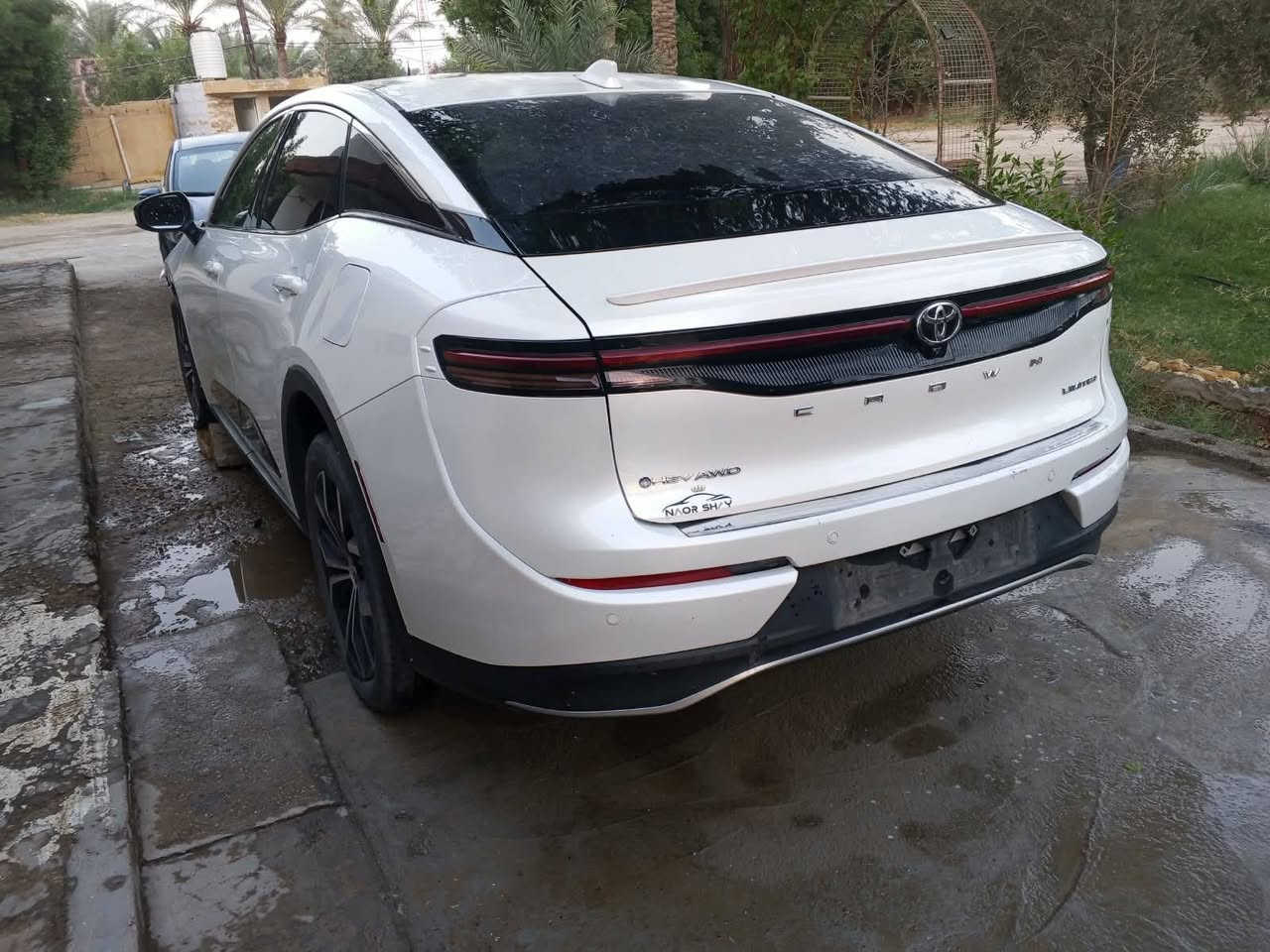 كراون • هايبرد • موديل ٢٤