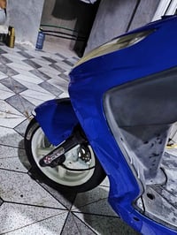 سكنس فحل • ازرق • كفالة