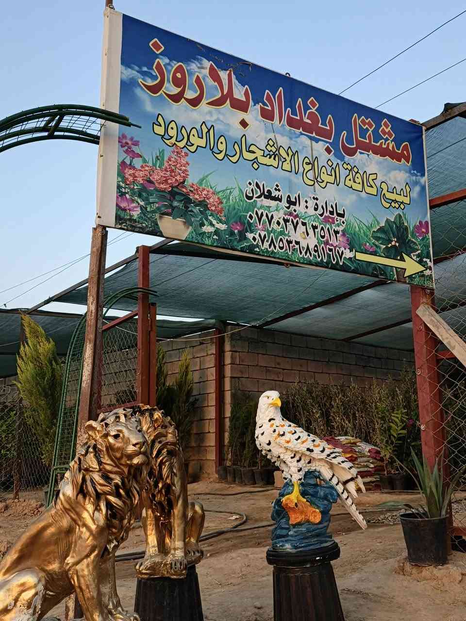 السلام عليكم ورحمة الله وبركاته
تم وصول وجبه جديده من الثيل الهندي ثيل درجه اوله 

سعر القطعه 1000دينار 

العنون: الشرقاط السكنيه مقابيل قاعه دريم ستي 

رقم الهاتف: ***********

موجود توصيل 

 الكل

