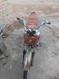 جونده • شغاله • كهربائية