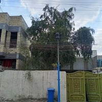 الاورفلي • ٣٠٠م • مشتمل