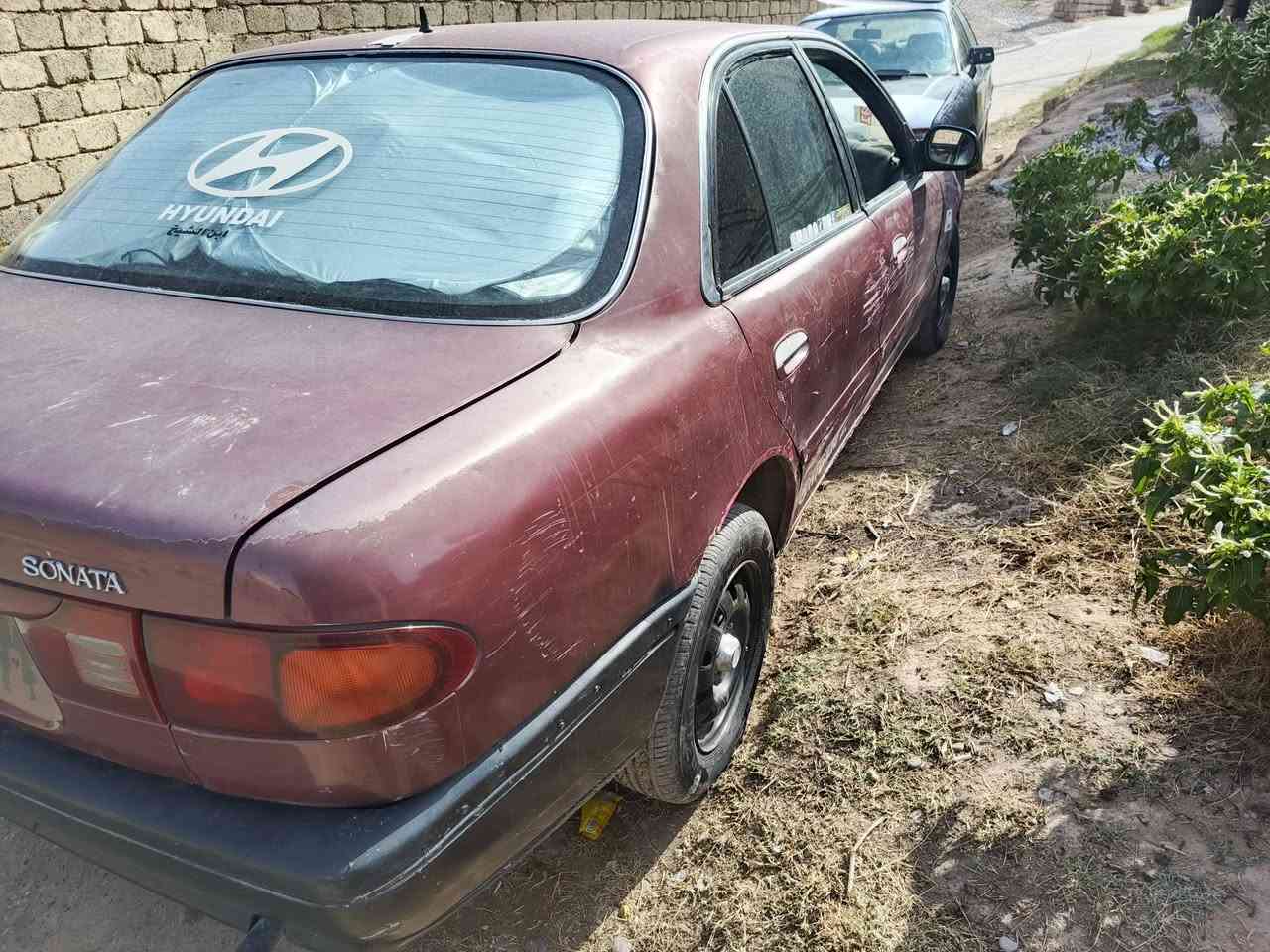 سوناته • ١٩٩٤ • فحص نينوه