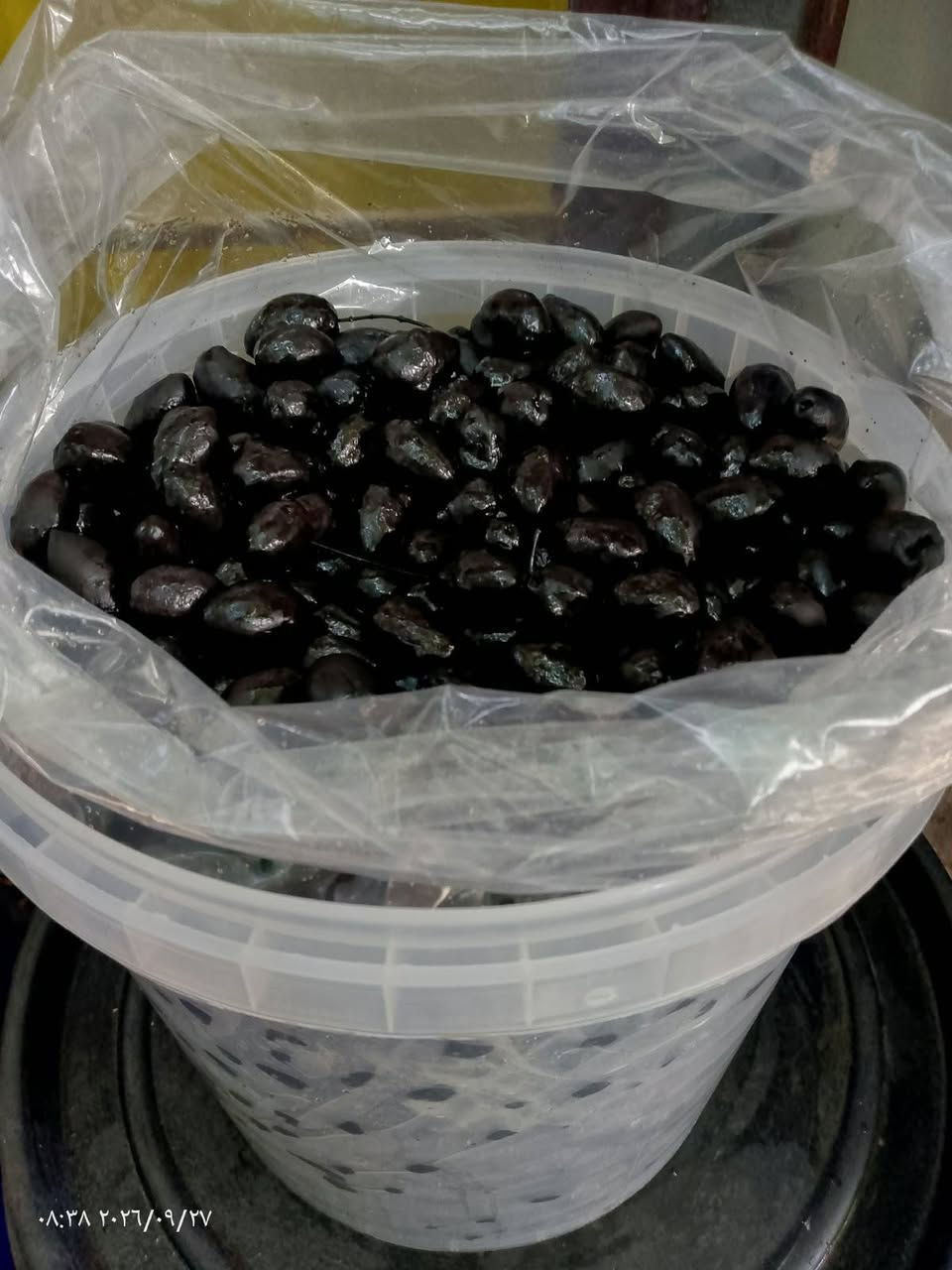 السلاك عليكم جاهزين لتجهيز جميع المحلات والمطاعم زيتون اسود خستاوي ناشف السطل ٨ كيلو ٢٠ الف سعر الكيلو 2500 زيتون تفاحي اصفر ذهبي درجة اولى بالحامض سعر السطل20 الف
ثوم متبل بالباربيكا مزيت درجة اولى السطل 25 الف ثوم مزيت درجة اولى بالزعتر 25 الف ثوم درجة اولى بالحامض سعر السطل 25 الف دينار وتوصيل مجاني داخل بغداد محافضات ماعدنا توصيل للحجز تواصل على الرقم  ***********
السلاك عليكم جاهزين لتجهيز جميع المحلات والمطاعم زيتون اسود خستاوي ناشف السطل ٨ كيلو ٢٠ الف سعر الكيلو 2500 زيتون تفاحي اصفر ذهبي درجة اولى بالحامض سعر السطل20 الف

نص مكتوب في الصور:
- ٠٨:٤٠ ٢٠٢٦/٠٩/٢٧
- ٠٨:٣٦ ٢٠٢٦/٠٩/٢٧
- ٠٨:٣٨ ٢٠٢٦/٠٩/٢٧
- ٠٨:٣٧ ٢٠٢٦/٠٩/٢٧
- ٠٨:٣٩ ٢٠٢٦/٠٩/٢٧