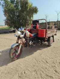 ستوته • ٢٠٢١ • مكفول