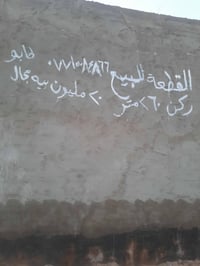 طابو زراعي • قرية البيضاء • ٦٠م