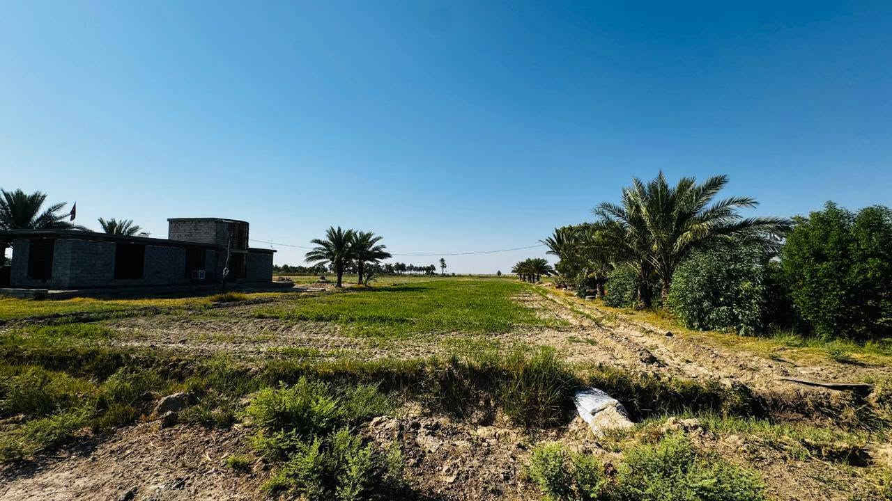 مكلف بالنشر للبيع
ارض  زراعيه 8دونم  تحتوي ع بيوت عدد 2
مكان فرع الامام  قريبه ع شارع الصويره 
للاستفسار ع الرقم ‏‪***********‬‏
‏‪***********‬‏
