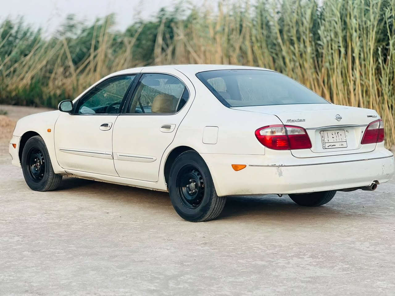 نسيان مكزيما 2001 بدون صبغ بدون ضربه مكينه كير جدد حداديه نص عمر رقم مميز تبريد و تدفئه بحاله جيده السياره علا وضع الشركه (70) و بيها مجال
***********
***********
العنوان كربلاء 
نسيان مكزيما 2001 بدون صبغ بدون ضربه مكينه كير جدد حداديه نص عمر رقم مميز تبريد و تدفئه بحاله جيده السياره علا وضع الشركه (70) و بيها مجال
