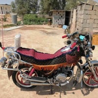 جني دبل بلك • ٢٠٢٠ • وضع شركة