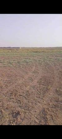 كنعان الشيخ تميم • ٢ دونم • سند تحويل