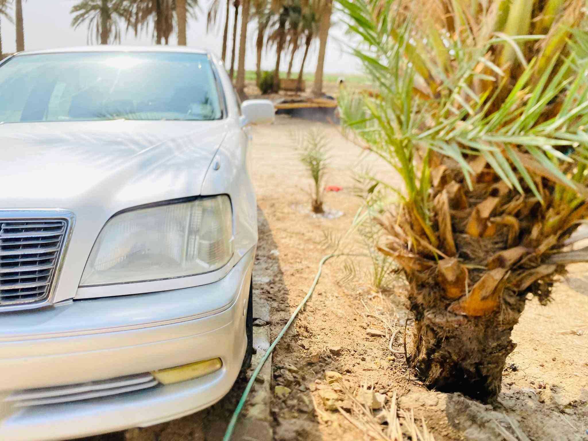 ملكة كراون • ٢٠٠٢ • محرك VVT-i