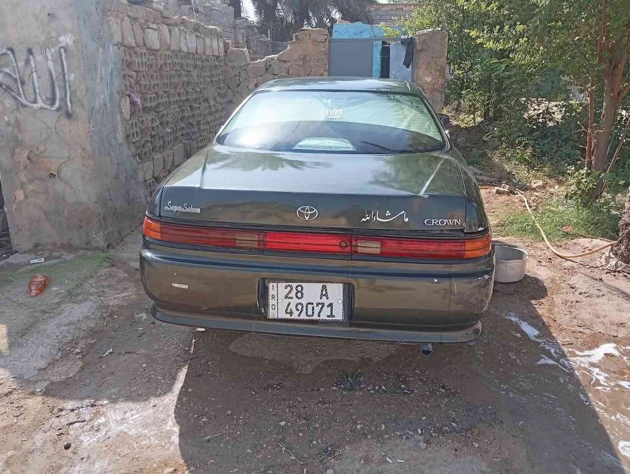 كفالة عامة • صبغ • نجف الاشرف