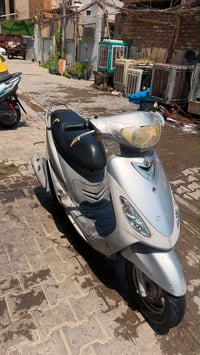 ماكس منغولي للبيع مكفولة بغداد 07704686846