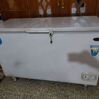 مجمدة • كونكورد • ٢٢قدم
