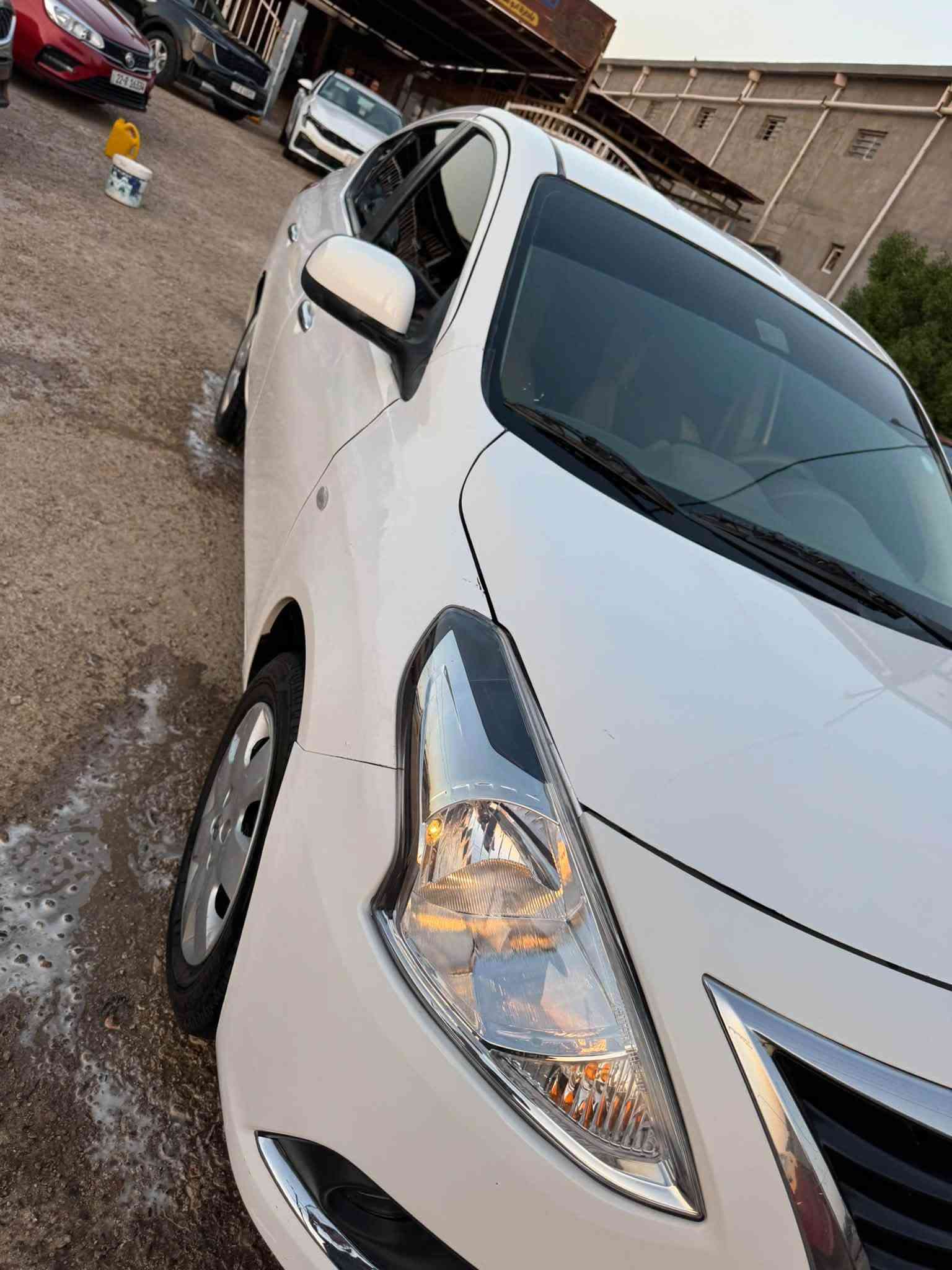 صني 2025 • دخول جديد • بدون صبغ