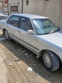 أرنب كصيف • موديل ٩١ • سنوية منتهية