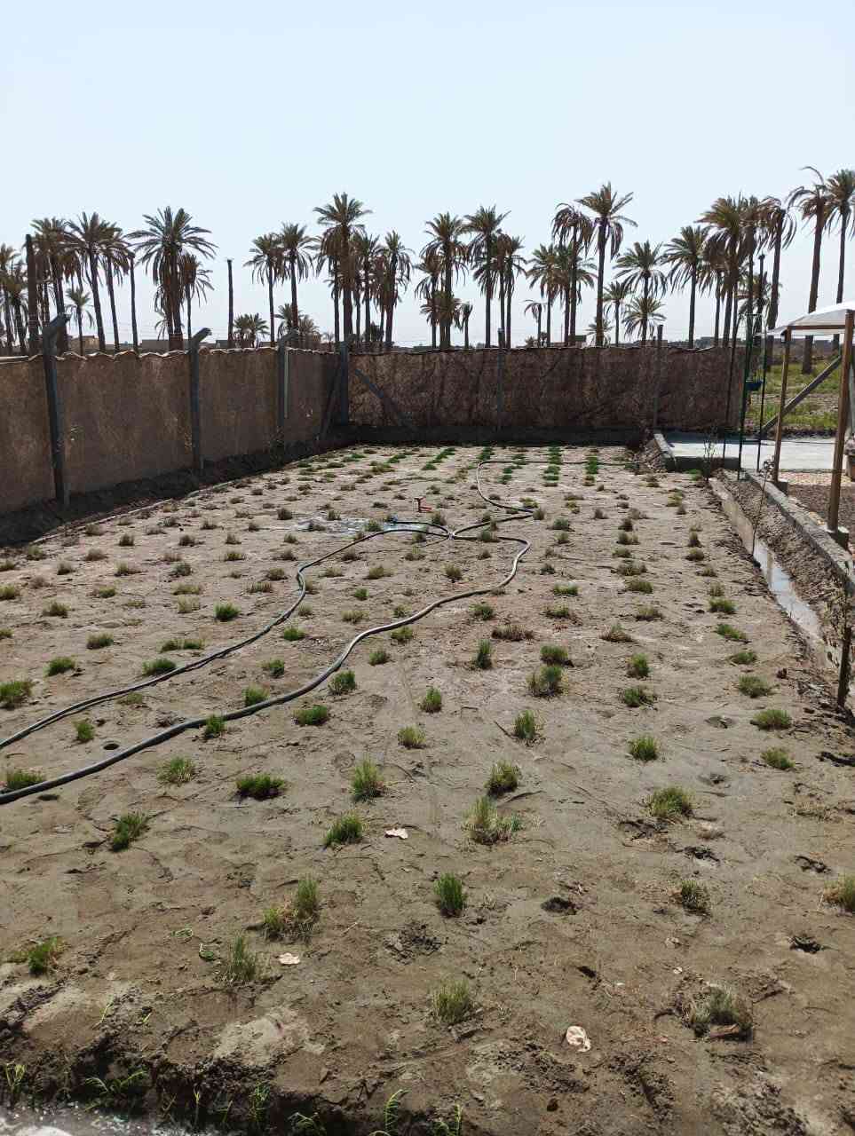 يالله قطعه للبيع بالبكرلي نقابة المعلمين  القطعه عبارع عن شالي مرتب مكان سياحي او متنفس طابو زراعي سند 25 مساحتها 200 متر باسم الشخص نفسه 
القطعه مرتبينها ومسويها كلش مرتبه ومزروعه اشجار وبيها ماء اساله وطاقه شمسيه وبيها صحيات ومكان شوي الاسماك 
مرتبه وحلووه 
السعر 20 وبيها مجال
لليرغب بالشراء او عرض عقاره للبيع او الايجار مراجعة مكتب عقارات حسين المعموري الكائن في البكرلي 
او الاتصال على الرقم *********** او واتساب

