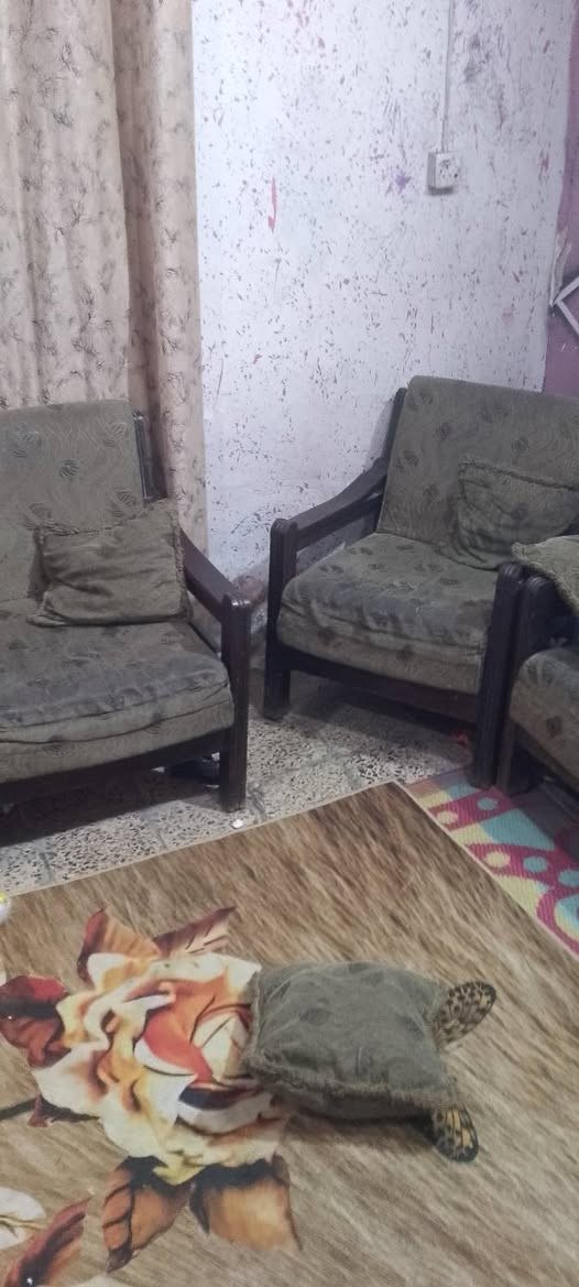 كاونتر ٣ قطع • شواية • حاسبة جديدة
