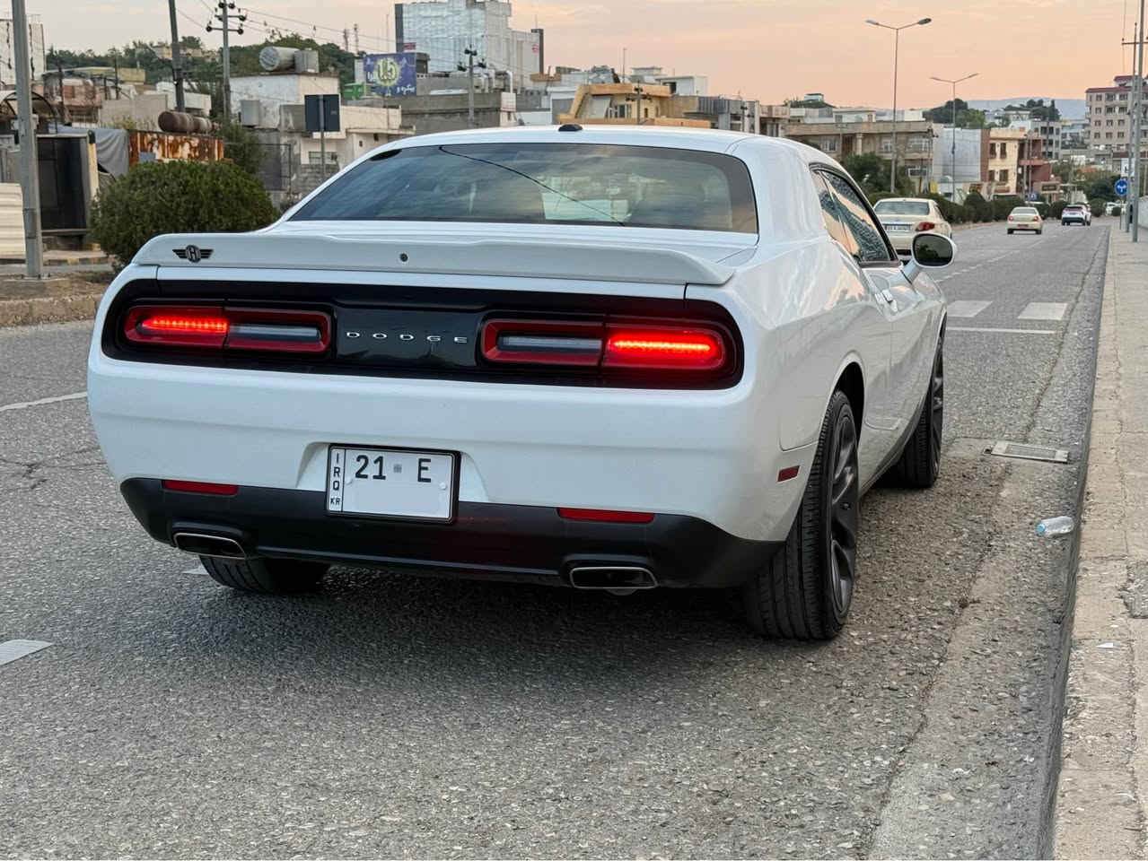 دوج تشالنجر • ٢٠١٩ • بدون صبغ