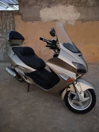 فورزة • مكفول • بابل