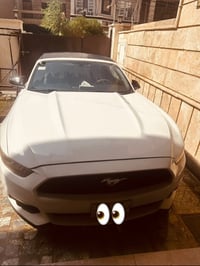 موستنك • ٢٠١٥ • رقم بغداد