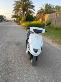 فراشة • ياباني • مجال