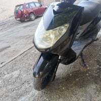 سكنس فحل • ياباني • بغبغاء