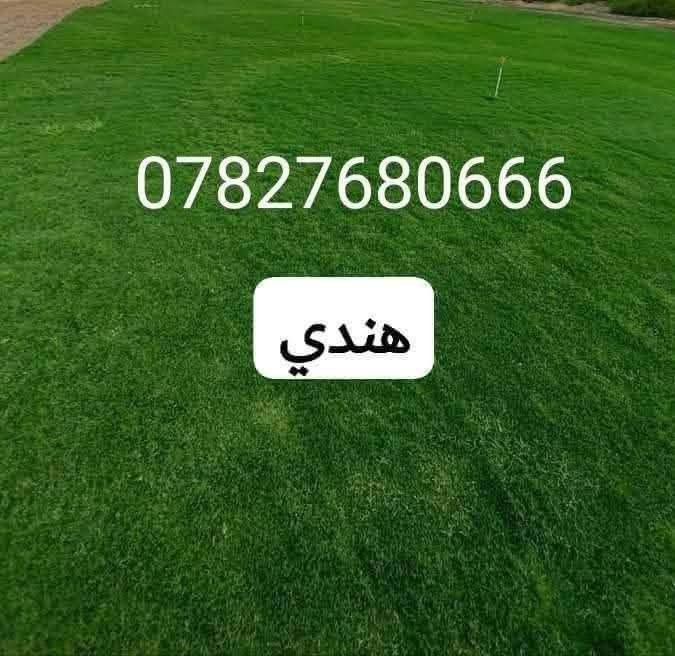 🌿 في بداية الموسم الجديد 🌿
نُعلن عن توفر الثيل الهندي الطبيعي – درجة أولى 💚
خضار 100٪ ويتحمل جميع الظروف المناخية 🌞🌧️

✅ نوعية ممتازة
✅ دائم الخضرة
✅ توصيل سريع لجميع محافظات العراق
✅ أسعارنا الأنسب… وتخفيضات لفترة محدودة 🫢

✨ نوفر أفضل أنواع الثيل الطبيعي:
#هندي – #أمريكي – #إيطالي – #إنكليزي

📌 جاهزون لتجهيز وفرش الحدائق 🏡
والدوائر الحكومية 🏢
والملاعب 🏟️ والمنتزهات 🌳

⏱️ توصيل خلال 24 ساعة
💸 الأسعار حسب الكمية

📞 للاستفسار والتواصل:
‏‪***********
***********
أهلاً بكم في مزارع ديالى لثيل الهندي الطبيعي 🌱
#ثيل_طبيعي #مزارع_حسن #ديالى #تنسيق_حدائق #عروض_مميزة #عشب_طبيعي #ثيل_عراقي
