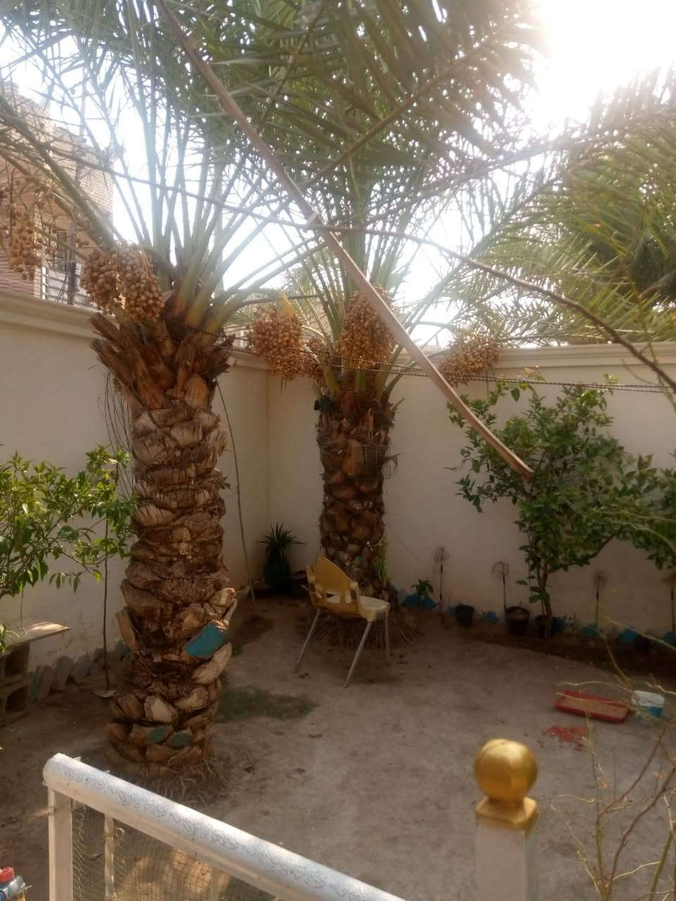 السلام عليكم دار للبيع طابو مالك صرف الزعفرانية دور الخمسه المساحه الكليه260 متر طابقينمسلح يحتوي الدار الطابق الارضي على حديقه مثمره مع كراج الطابق الاول اسبقبال وغرفتين ومطبخ ومجموعة صحيات والطابق الثاني نفس الشي مع بلكونه وبيتونه الدار تصلح لعائلتين الراغب بالشراء الاتصال على الرقم التالي *********** تحياتي
