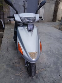 فراشة • سلف • هندل