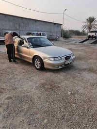 سوناتا • ٢٠٠٠ • صبغ عام