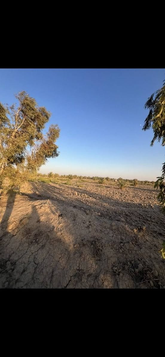 🌴 أرض زراعية للبيع – موقع استراتيجي
🌿 فرصة زراعية مميزة على طريق المهناوية – نزلة الحراكصة، بموقع ممتاز وتبليط واصل لحد الباب.
📐 المساحة: 60 دونم
🌴 منها 16 دونم بإجازة بستان
🌱 تحتوي على ما يقارب 450 نخلة مثمرة
📏 الواجهة: حوالي 220 متر
💧 ماء سقي متوفر
⚡ الكهرباء موجودة
🏕️ يوجد كرفان داخل الأرض
🚜 أرض زراعية جاهزة للزراعة 
✨ موقع ممتاز، خدمات متوفرة، وأرض جاهزة
للاستثمار الزراعي والبستاني.
🔥 فرصة مناسبة لمن يبحث عن أرض زراعية منتجة ومتكاملة!
📞 للاستفسار والتفاصيل:
***********
📲 الاتصال أو واتساب
لسنا الوحيدين، لكننا الأفضل… والفرص المميزة ما تتكرر!
